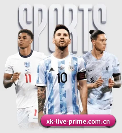 五大智库级服务分区,让资讯获取如同呼吸般自然