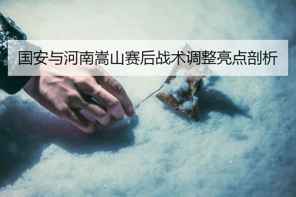 国安与河南嵩山赛后战术调整亮点剖析